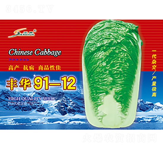 �S�A91-12-�ײ˷N��-�S�A�N�I