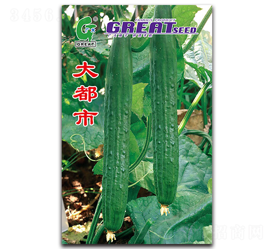 ����-�S�ϷN��-�V��