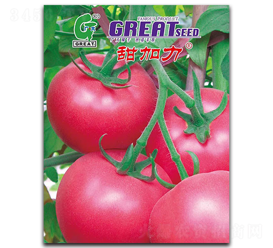 �����-���ѷN��-�V��