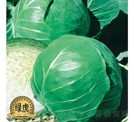 ����-���{�N��-��Ʒ�r�I