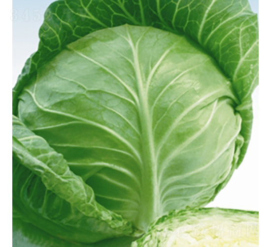 ���m�G��-���{�N��-��Ʒ�r�I