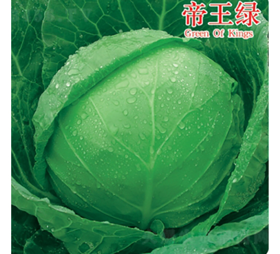 �����G-���{(l��n)�N��-��Ʒ�r(n��ng)�I(y��)