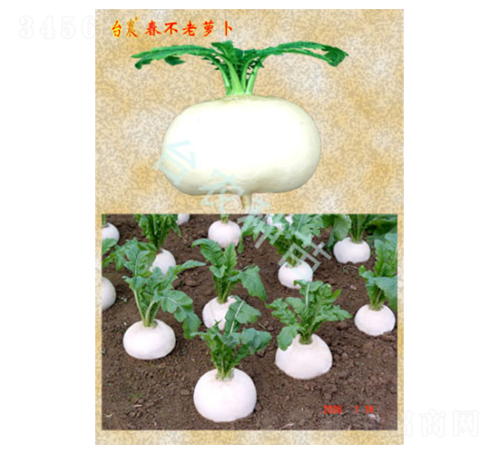 �������}��-�}���N��-�_�r�N��