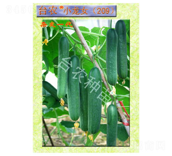 �_�rС��Ů209ȫ���S��-�S�ϷN��-�_�r�N��