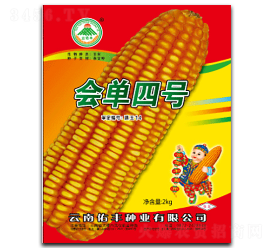 ������̖-���׷N��-�������S�N�I