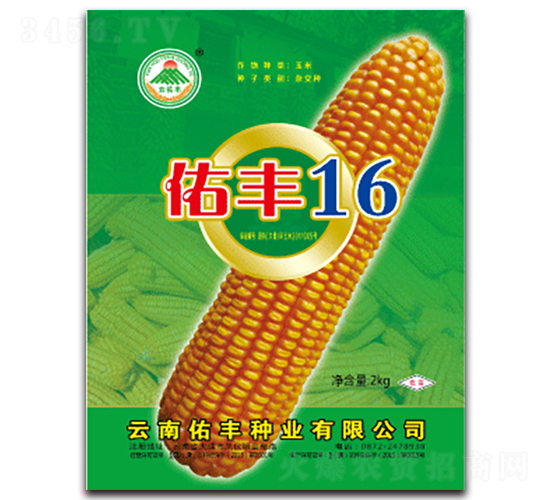 佑豐16-玉米種子-云南佑豐種業