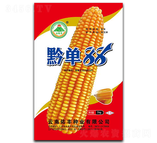 黔單88-玉米種子-云南佑豐種業