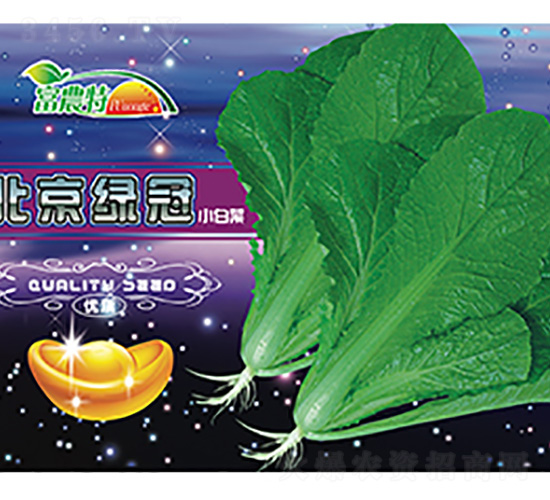 С�ײ�-�����G��-����