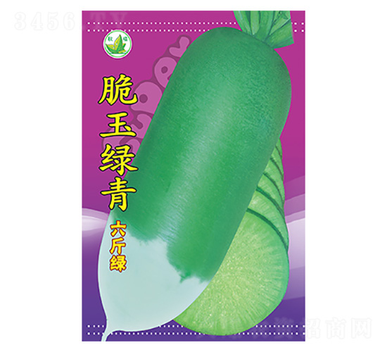 �}���N��-����G��-����