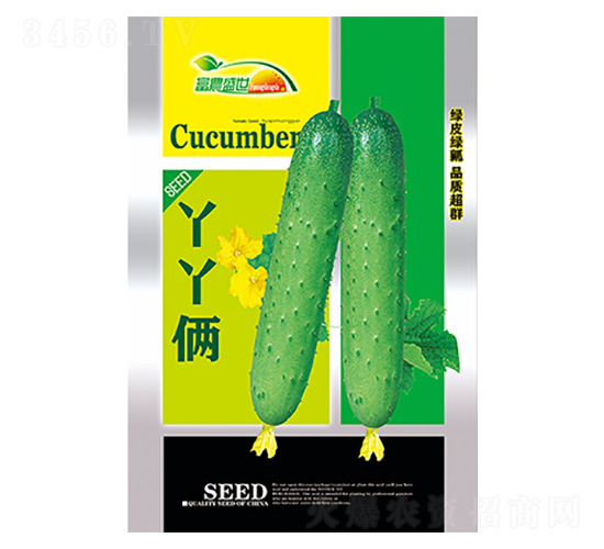 �S�ϷN��-ѾѾ�z�Gɫ��-����