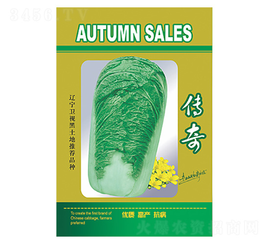 �ײ˷N��-����-����