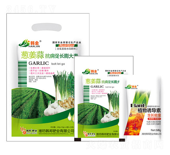 �[���⿹�����L�����-�n��-�n��ʘI