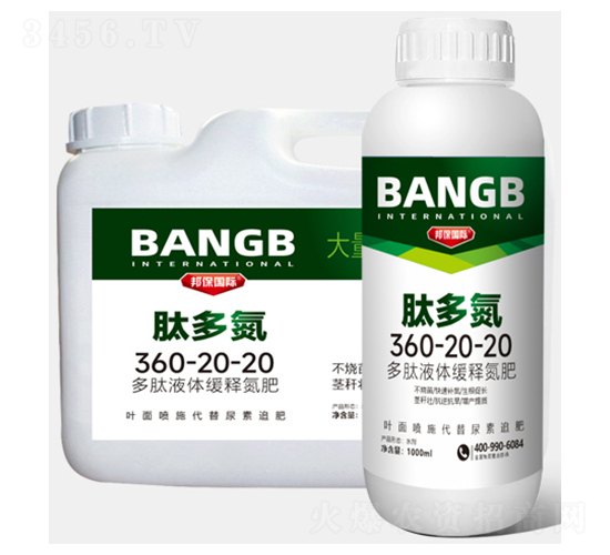 �Ķ൪360-20-20-��ʘI