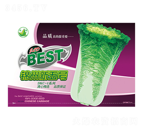 �ײ˷N��-�\������̖�°��b-����