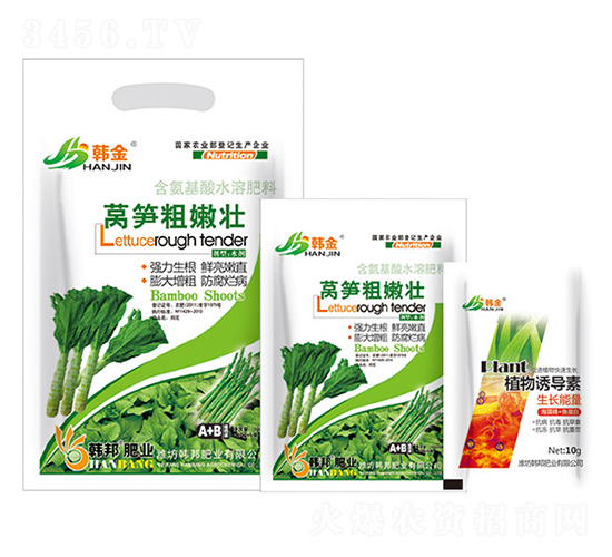 �n�S���ۉ�-�n��-�n��ʘI