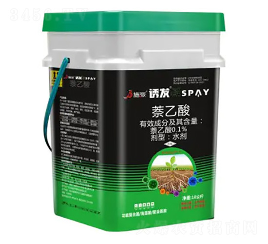 �T�l-ʩ������