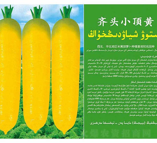 �R�^С��S-��ʢ�S