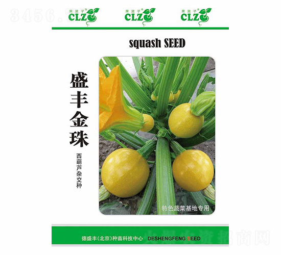 盛豐金珠-德盛豐