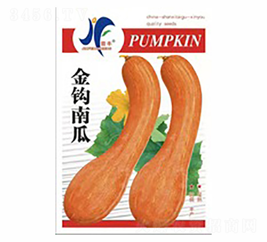 金鉤南瓜-晉豐-德盛豐