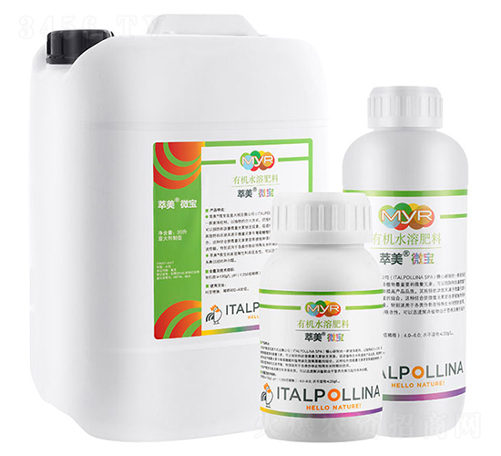 ����΢��-���r�r�I