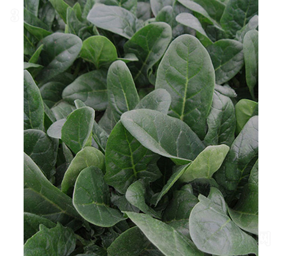 �ǻ�159-���˷N��-���r(n��ng)�r(n��ng)�I(y��)