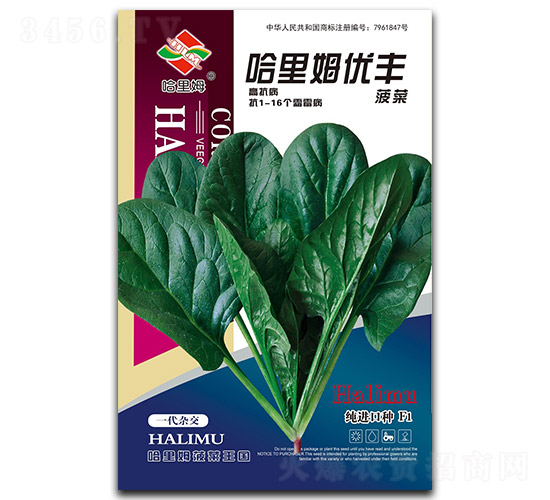 ����ķ���S-���˷N��-����ķ