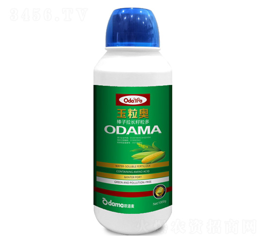 �����W-�������L������-�W����