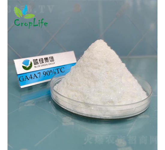 ��ù��A4A7-��(��i)��˹����