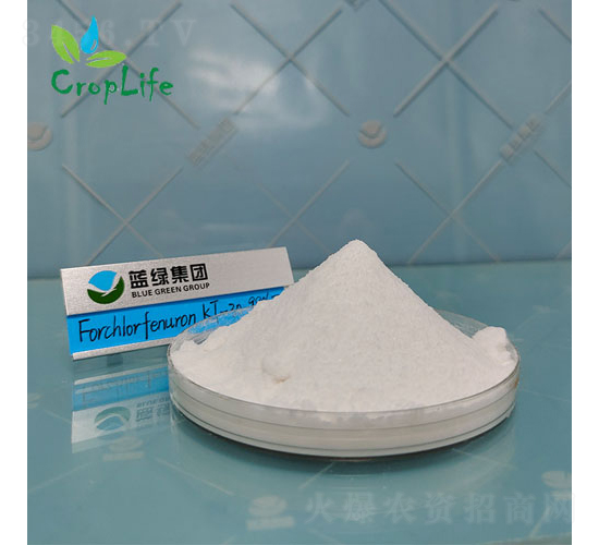 ��������-����˹����