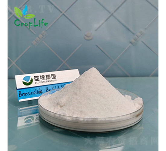 �|̦�؃���-����˹����