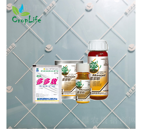 ���c��������-�����-����˹����