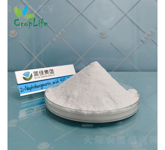 ��-��������-����˹����