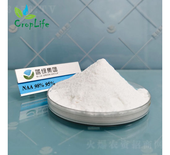 ��������-����˹����