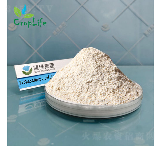 �{(di��o)�h(hu��n)���}-��(��i)��˹����