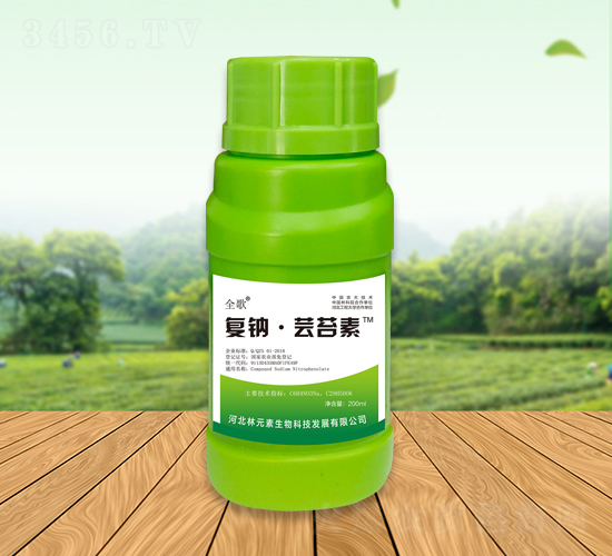 ȫ����c���|̦��-��Ԫ��