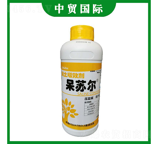 �����{�턩-���K��