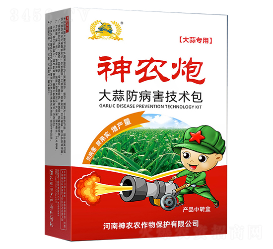 ����������a���g����-���r��-�������r