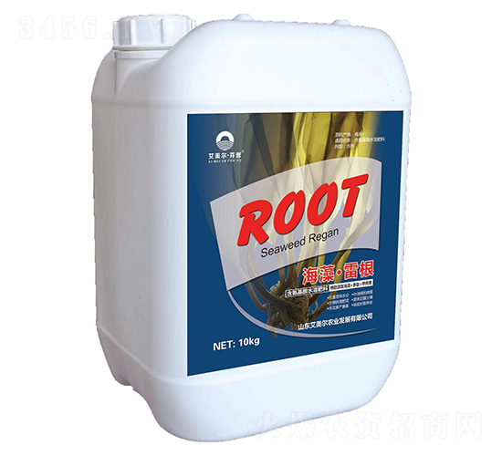 �����׸�-������