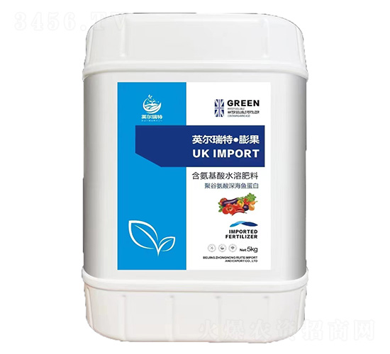 Ӣ���������-���r����