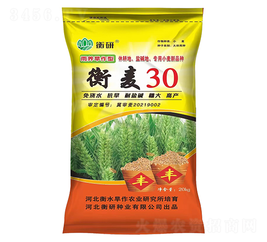 衡麥30-小麥種子-衡研種業