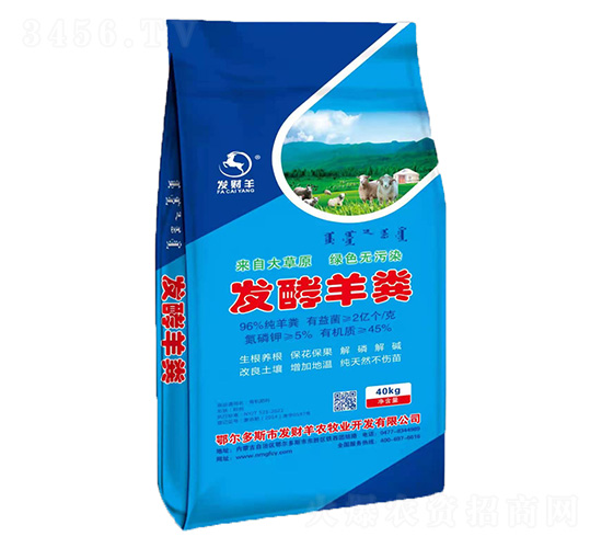 �l����S���{��-�lؔ��