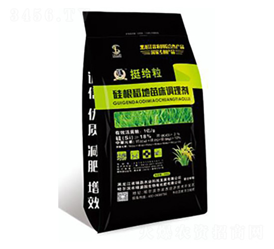 ͦ�o����������紲�{�턩-�T���r�I