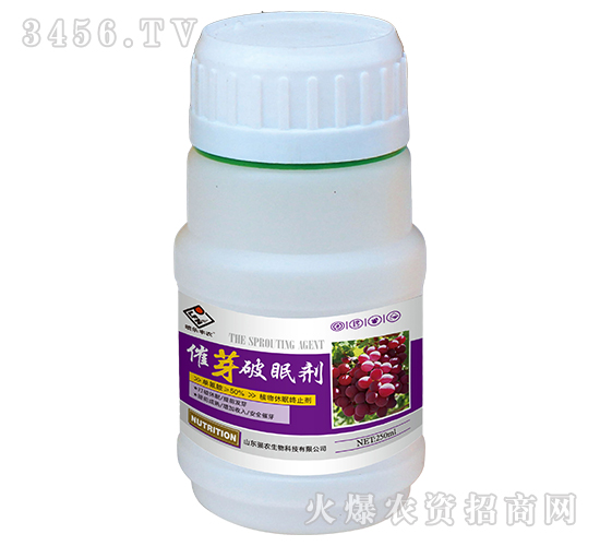 ��ѿ���߄�-�����S�r(n��ng)-���r(n��ng)����