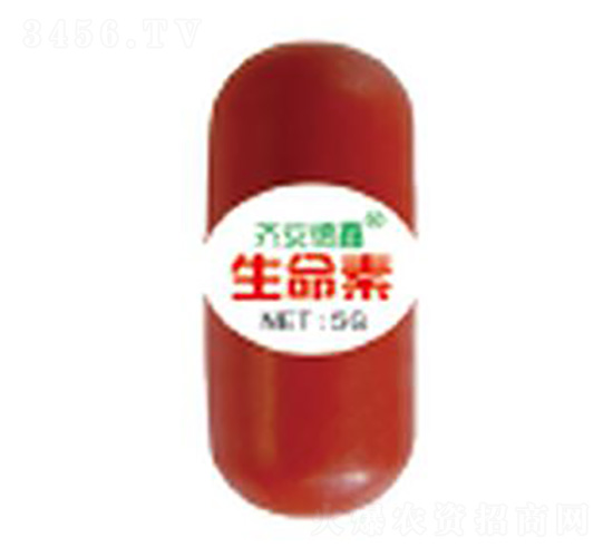 ������-��������