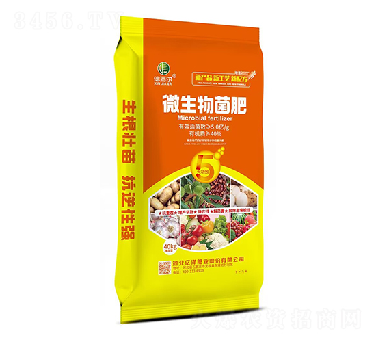 ΢�������-�żΠ�-�|��ʘI(y��)