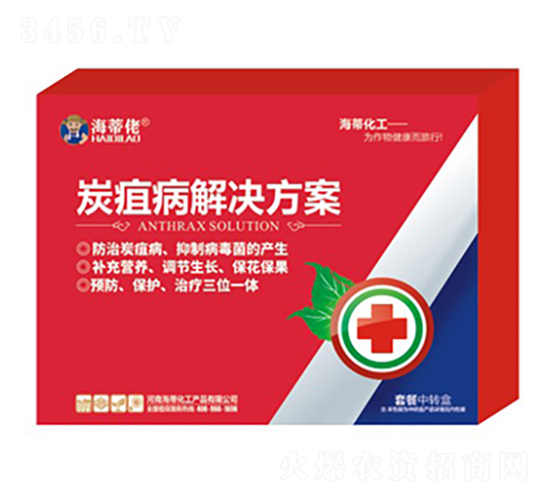 ̿�Ҳ���Q����-������