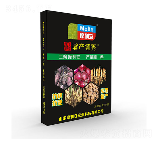 ���K�o���a�I��-Ħ����