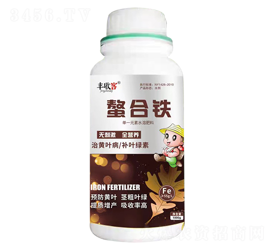 �����F-�S�տ�-���r����