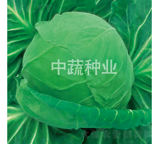 103���{-���{�N��-���߷N�I