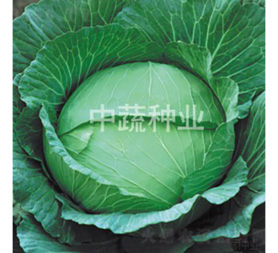 ���Sһ̖���x-���{�N��-���߷N�I